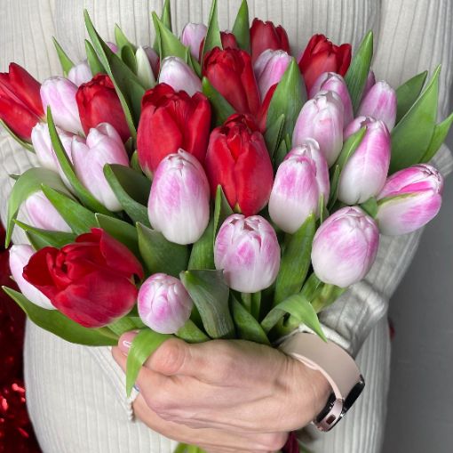A vibrant bouquet of red and pink tulips, held by a person in a cream sweater, with soft green leaves and a subtle festive background.