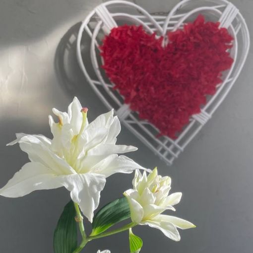 Elegant white lilies in soft sunlight with a red heart made of petals framed in a white wicker heart on the wall behind.