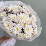 Bouquet of soft pink chrysanthemums wrapped in pale pink paper, held against a grey textured wall.