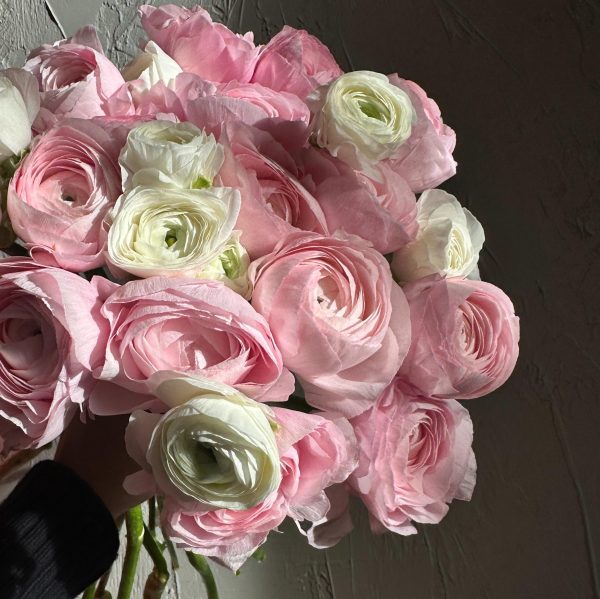 Close-up of soft pink and white ranunculus bouquet in natural sunlight.