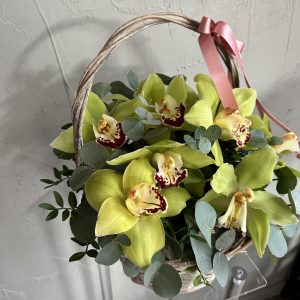 Close-up of yellow-green cymbidium orchids with eucalyptus foliage in a wicker basket tied with a pink ribbon.