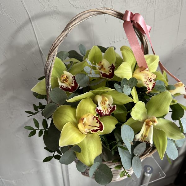 Close-up of yellow-green cymbidium orchids with eucalyptus foliage in a wicker basket tied with a pink ribbon.