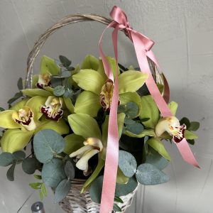 Wicker basket filled with lime green cymbidium orchids and eucalyptus, accented by a long pink satin ribbon.